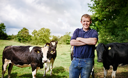 a happy farmer stands by his cows