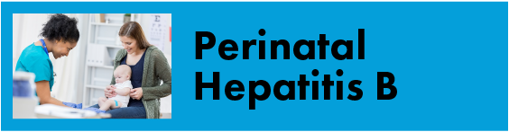 Perinatal hepatitis b
